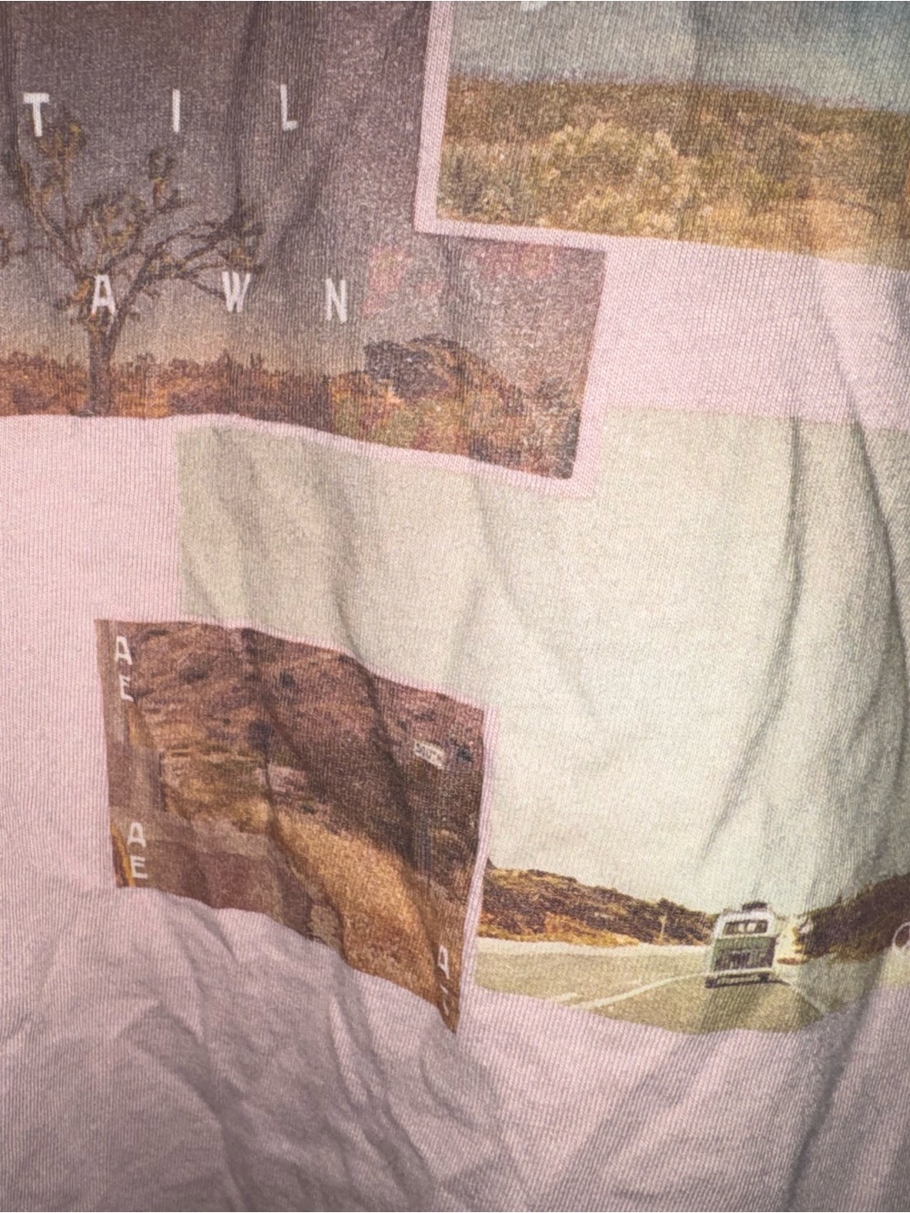 American Eagle Outfitters Dusty Rose Photo-Block Graphic Tee - Picture 4 of 7